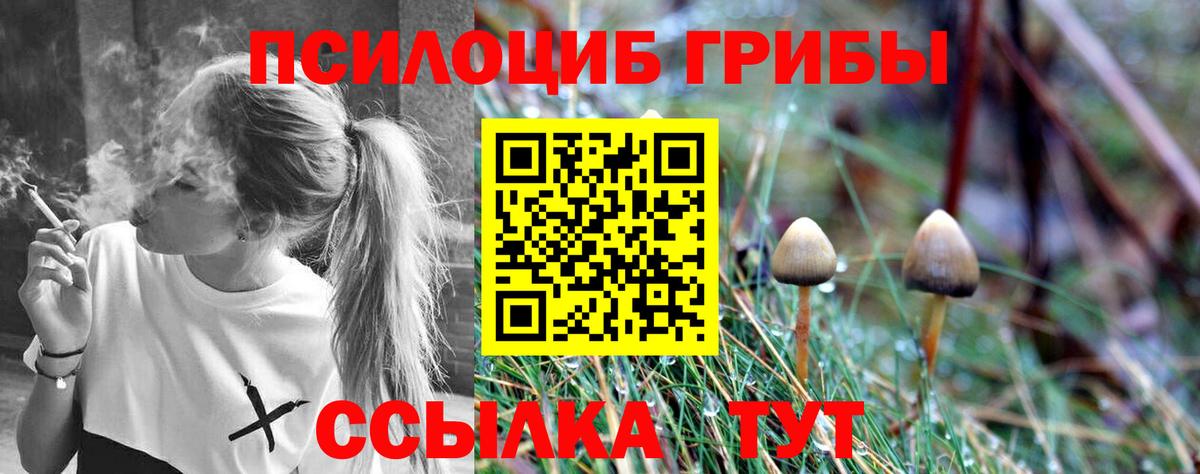 Галлюциногенные грибы мицелий Курчалой